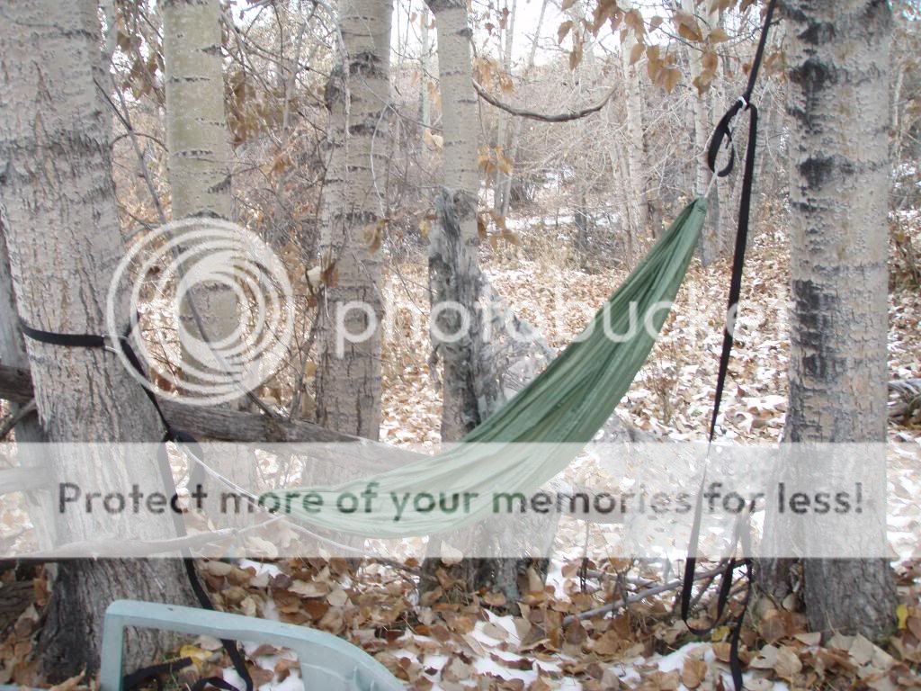 Bushman Hammock Chair